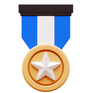 🎖️